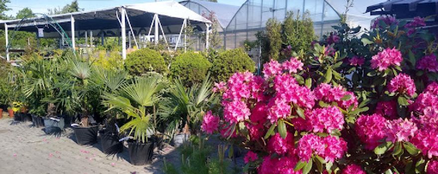 Horticultural Farm Marcin Expressing