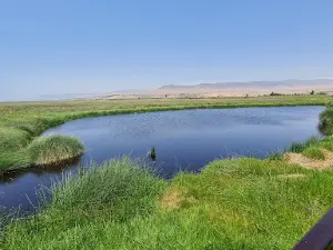 Santuario Nacional Lagunas de Mejia