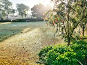 Nehru park