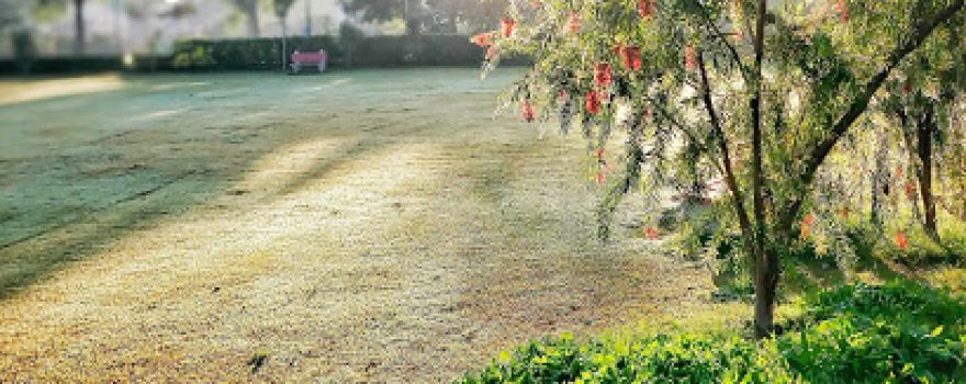 Nehru park
