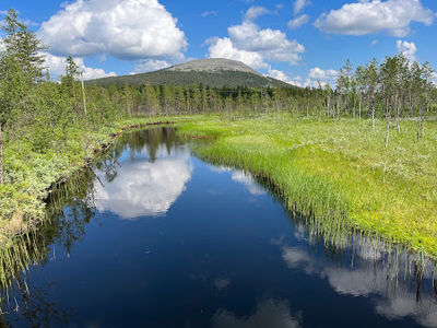 Kesänkijoki Bridge