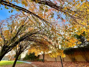 Veteran's Park