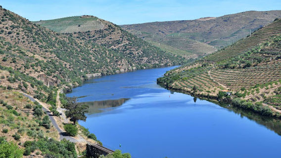 Estação ferroviária do Côa