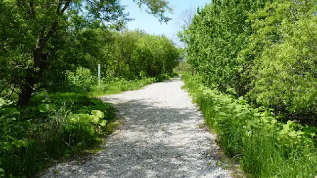 手稲山口バッタ塚