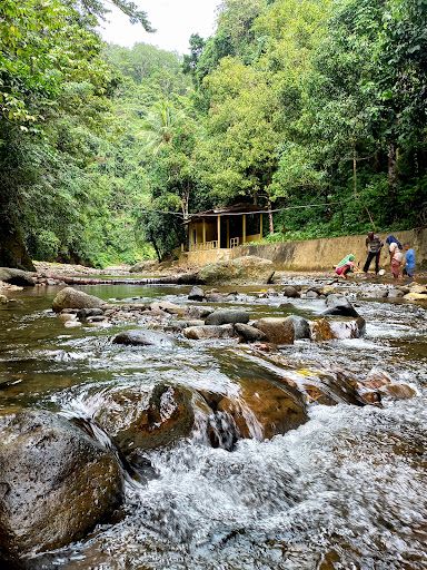 Moa Larike Eels Conservation