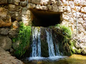 حديقة الريحان العامة | Rihan Public Park
