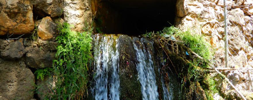 حديقة الريحان العامة | Rihan Public Park