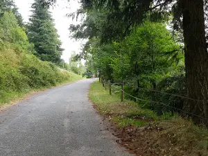La Route Magique. Gravité Inversée