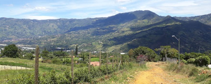Vereda el zarzal