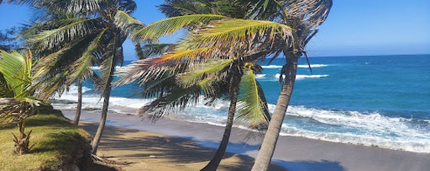 Playa Mar Azul