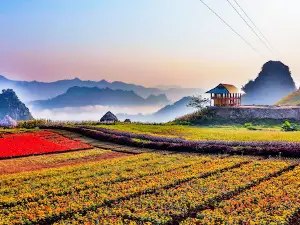 Bình Nguyên Xanh Khai Trung