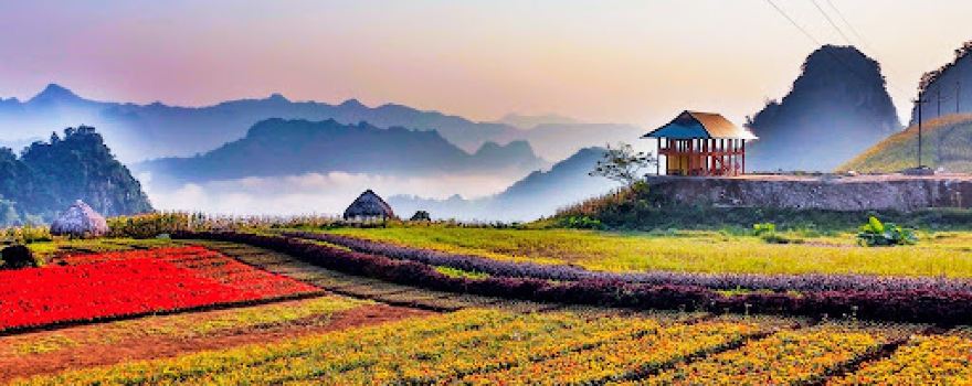 Bình Nguyên Xanh Khai Trung