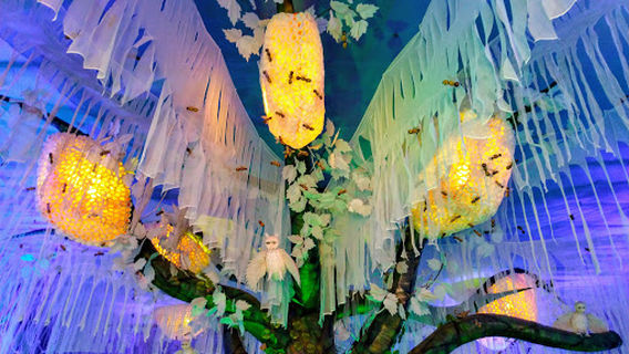 Suryanagar Play Ground / Dabgram Maath