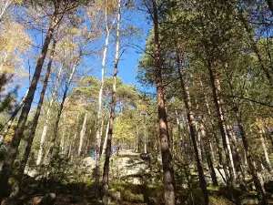 Naturpark Nordwald