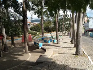 Square Of Eucalyptus