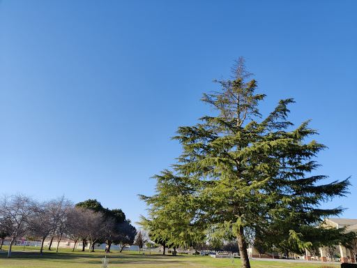 Silver Creek Park