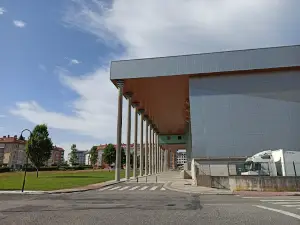 Pazo da Cultura