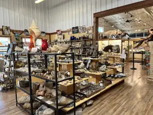 World Fossil Finder Museum