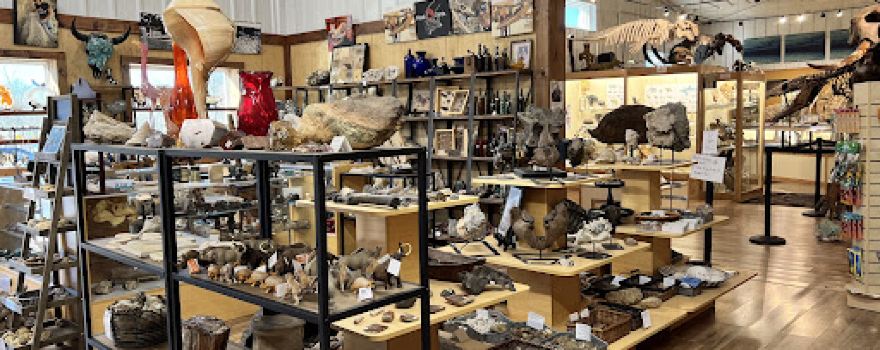 World Fossil Finder Museum