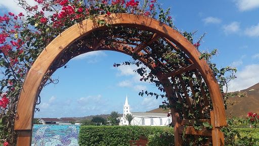 Guanare to Georgetown Flights