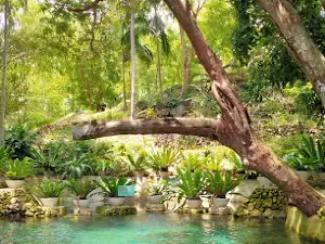 Banyan Spring Resort
