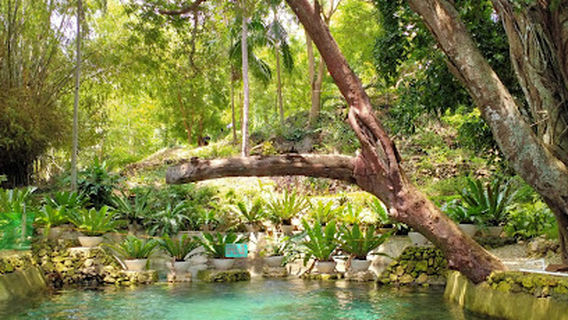 Banyan Spring Resort