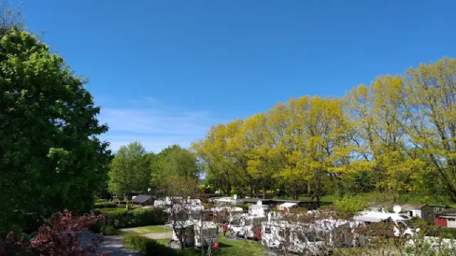 Prohn Travel Guide 2026: Top Attractions, Things to Do & Deals | Trip.com |  May 2026