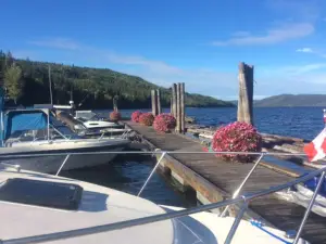 Plato Island Resort & Marina
