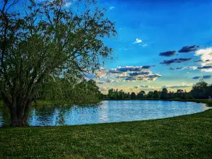 Blue Heron Park