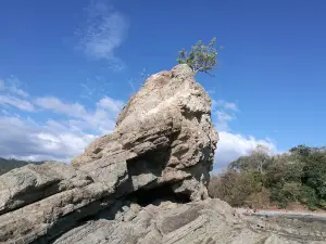 Puerto Playa Carrillo Mirador