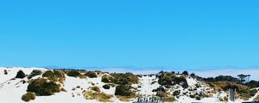 Rottnest Cruises