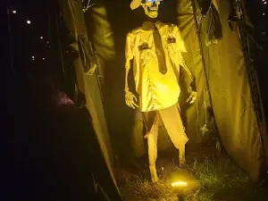 좀비 팜