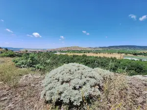 Panoramic site "Goat"