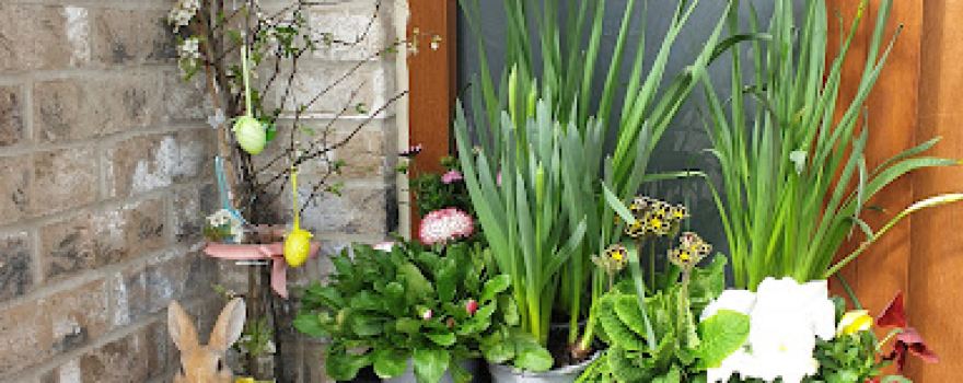 Woodlark Nurseries Ltd