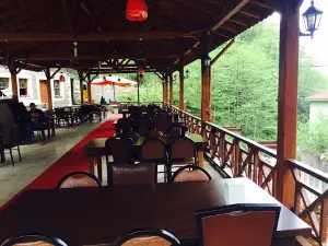 Andon Ilica