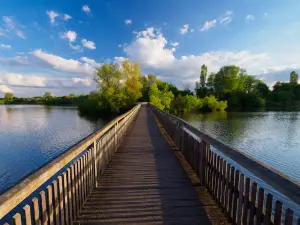 Aussichtsturm Vogelinsel