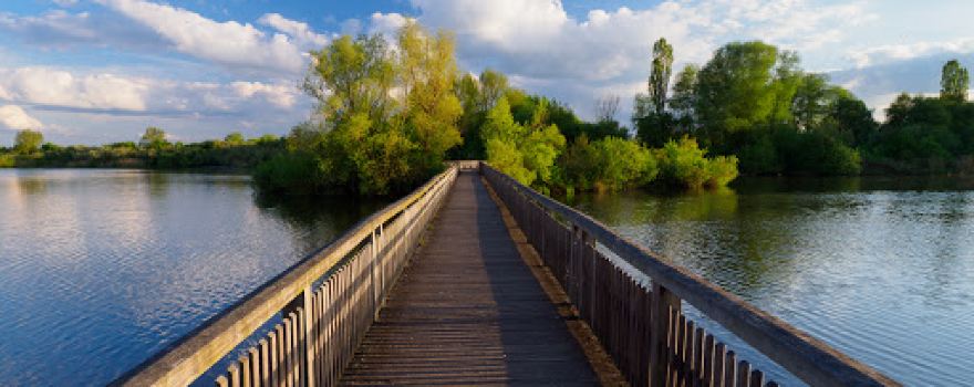 Aussichtsturm Vogelinsel