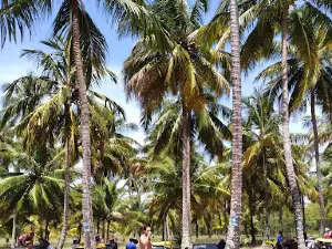 Coconha and dona Ilda Ranch