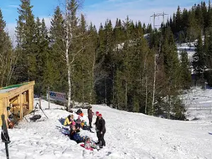 Høgås resorts