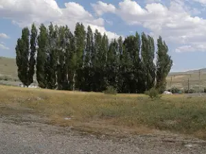 Carsi Mosque