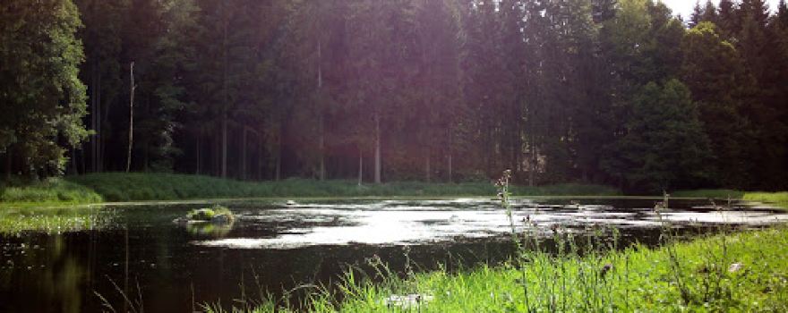 Černý rybník