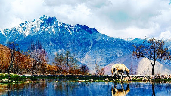 Everest Trekking
