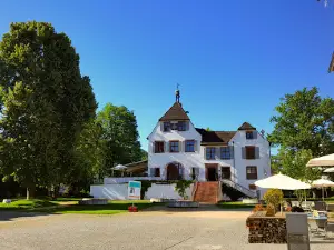 Schloss Binningen