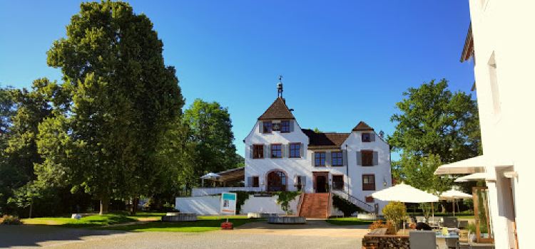 Schloss Binningen