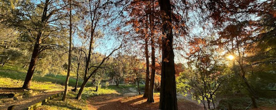 Parco Lonzina