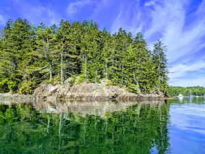 Buck's Harbor Marina