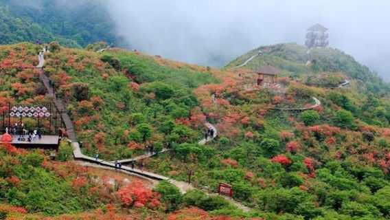 Song Bài