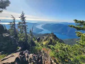 Olympic National Forest