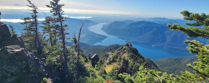 Olympic National Forest