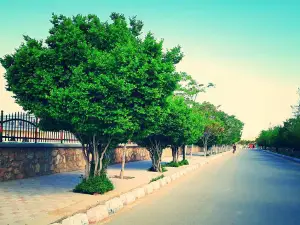 Logar Volayat Mosque